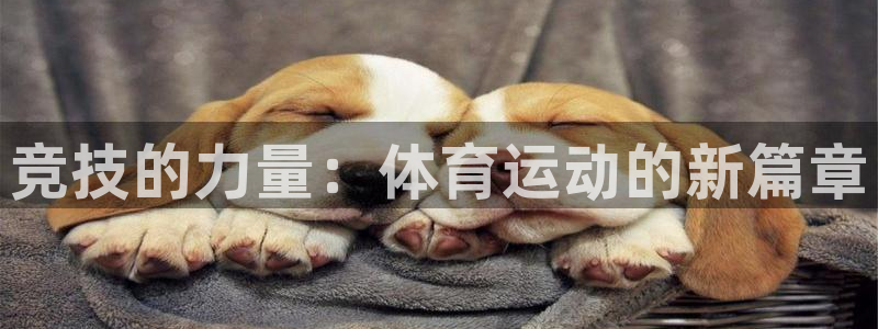 意昂3官网登录