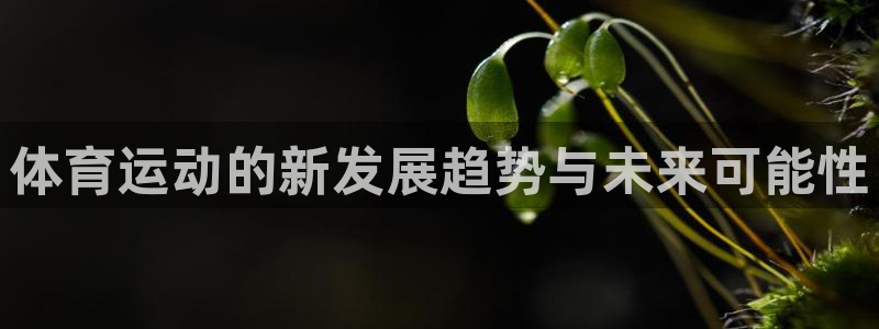 意昂集团