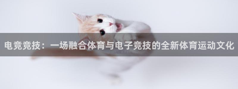 北京意昂科技有限公司