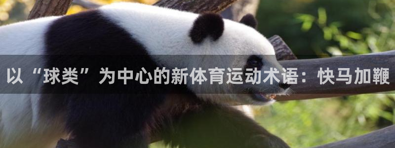 意昂扬是什么意思