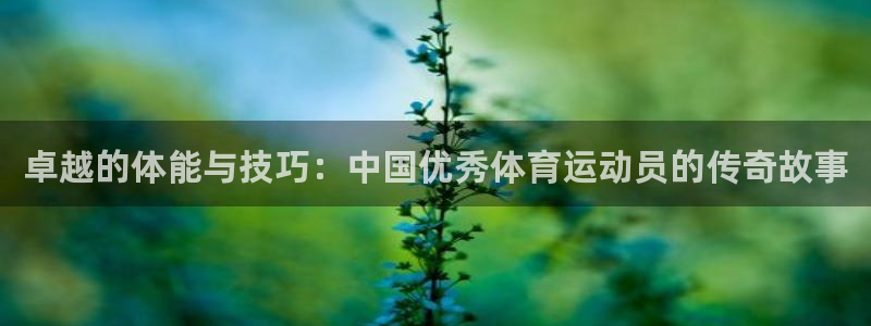 意昂代理注册官网入口