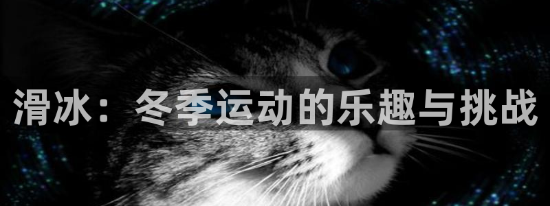 沐鸣2体育app下载