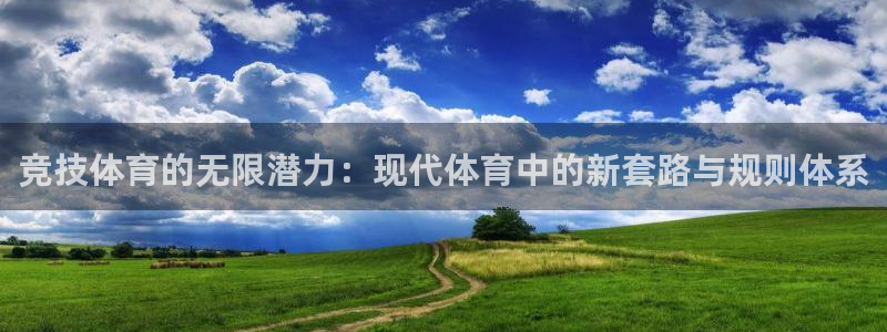意昂总代