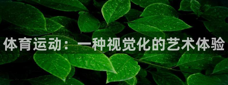 沐鸣22平台登录