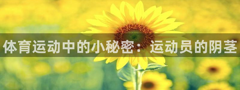 杭州意昂科技有限公司
