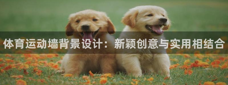 沐鸣23